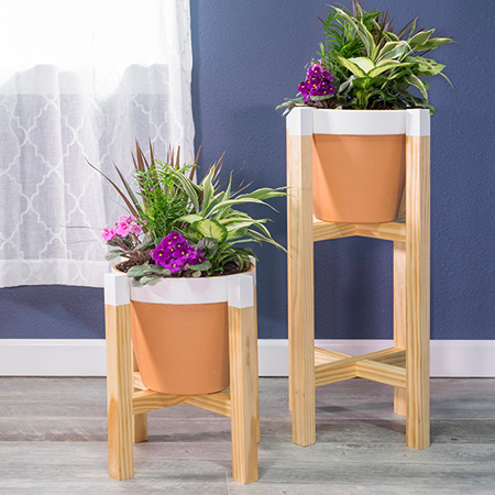 DIY wooden plant stand