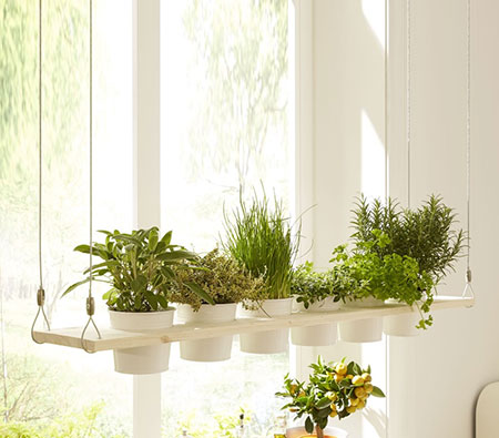 HOME-DZINE | Easy DIY Projects - Plant up an indoor herb garden and display close to a sunny kitchen window. With this hanging herb garden you will always have fresh herbs at your fingergips.