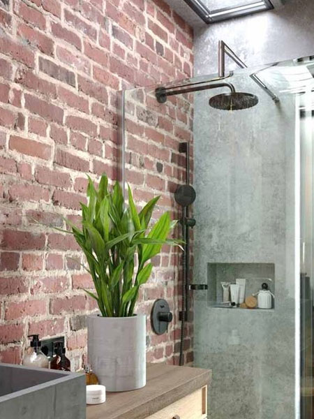 potted plants for the bathroom