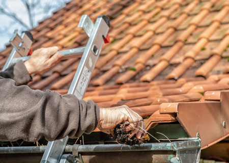 Ensure gutters and downspouts flow freely