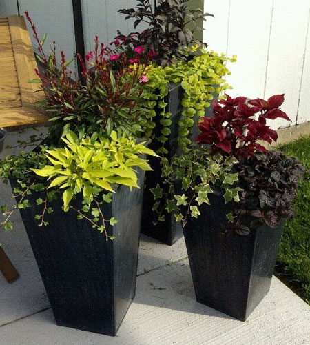 potted plants for garden decoration