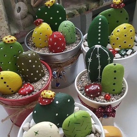 colourful pots of cactus