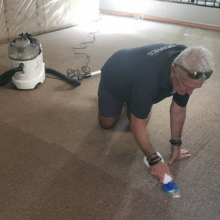 how to remove paint from carpet