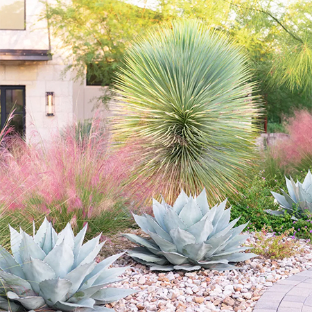 No Need for Grass on your Front Lawn with these Landscaping Ideas