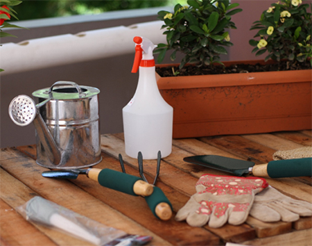 Essential Garden Tools to Start Your Gardening Expedition 