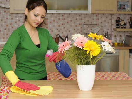 eco friendly cleaning tips