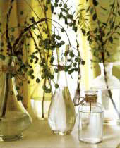 Make use of glass bottles to fit them with fresh greenery