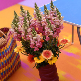A wonderful arrangement of fresh garden flowers