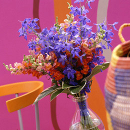 Flowers can add bold, fresh colour to any room in your home
