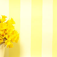 Stripes are as fashionable on walls as on clothing and the same fashion rules apply to bot