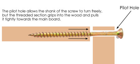 What is a half- or smooth-shank screw