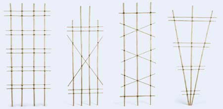 Build a bamboo trellis 