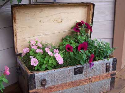 container displays in the garden