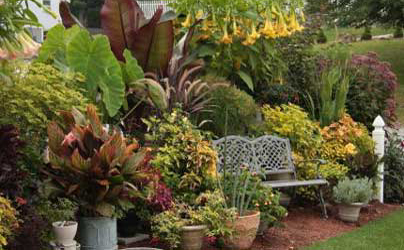 container displays in the garden