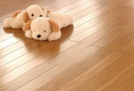 Bamboo flooring for a home