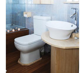 Toilet basin projects