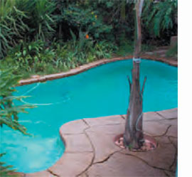 Cemcrete PoolCrete