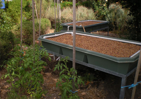 grow beds were planted