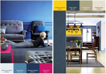 Plascon palette for 2013