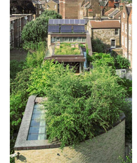 How green is your roof? 