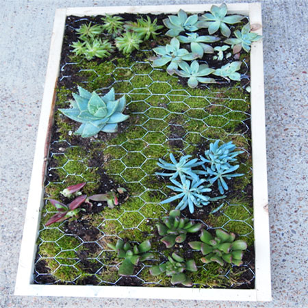 vertical garden 