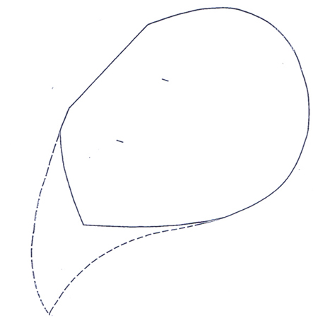 Make angel wings with feathers and trim