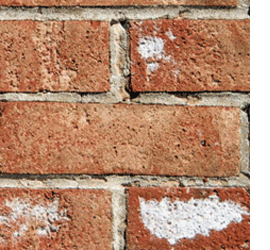 Should you paint facebrick