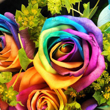 HOME DZINE Craft Ideas | How to make rainbow roses