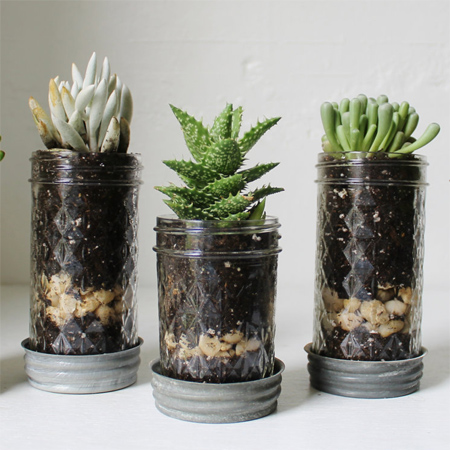 mason jar ideas succulent planters