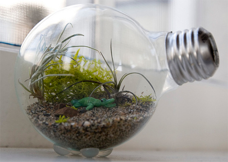 miniature light bulb terrarium