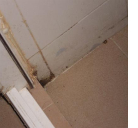 Get rid of mould or mildew