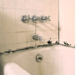 Get rid of mould or mildew