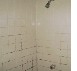 Get rid of mould or mildew