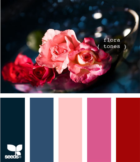 Nature mother earth neutral colours for a home 