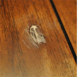 paint tongue and groove pine panelling