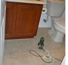 How to paint a vinyl floor 