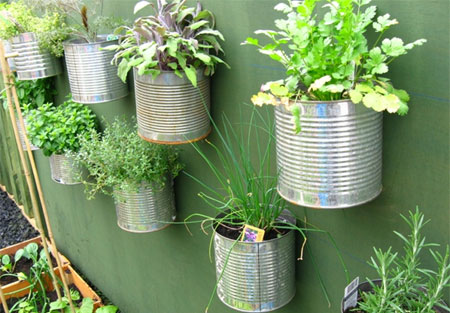 Growing vegetables is easier than you think