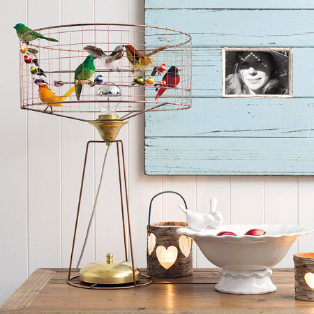 lampshade bird cage with birds