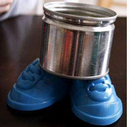 Wheat grass projects for kids 