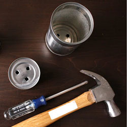 Wheat grass projects for kids 