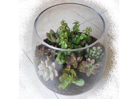 Crafty idea for Mother's Day