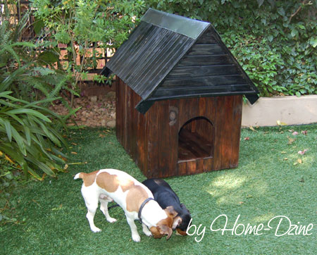 DIY dog kennel 