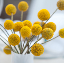 Creating a beautiful tablescape design 