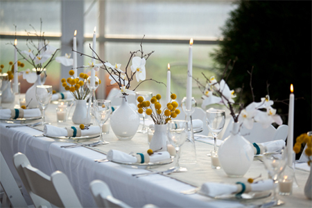 tablescape design table setting ideas