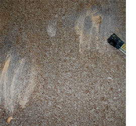 Remove paint and glue stains from carpet