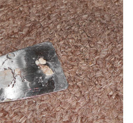 Remove paint and glue stains from carpet