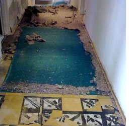 Home improvement project