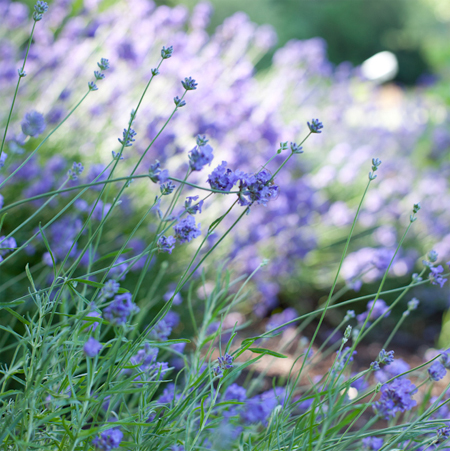 Beautiful colour inspiration