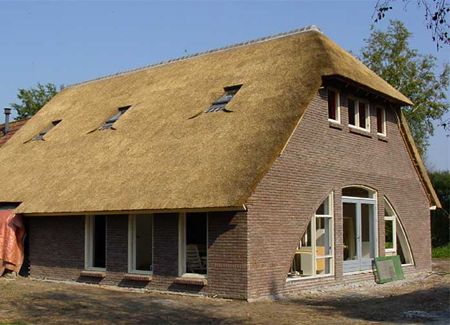 thatch roof modern