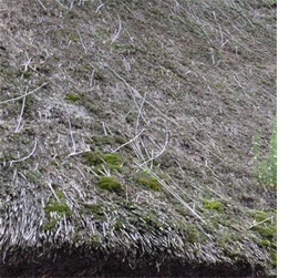 Thatched roof for a home